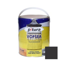 VOPSEA PITURA NEGRU 10L